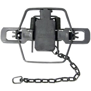 Minnesota Trapline B-3DOG 2-Coil Dogless Trap 6-1/16 In Jaw