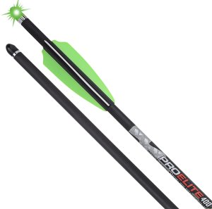 TenPoint Pro Elite 400 20In Alpha-Blaze Carbon Arrows 2-Pack