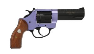 Charter Arms Pathfinder II 22 LR 52234