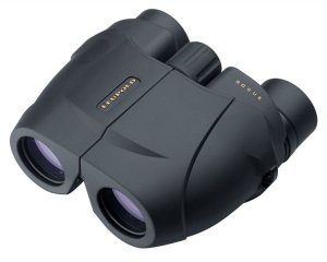 Leupold & Stevens Rogue 10x25 Compact Inverted Porro Prism 59225 25MM