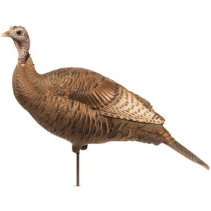 Dave Smith Decoys 689076288293 Upright Hen Decoy, Lightweight & Durable