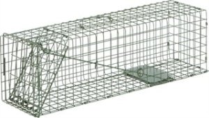 Duke Manufacturing Co. Cage Trap No. 2 24 In Galvanized Steel