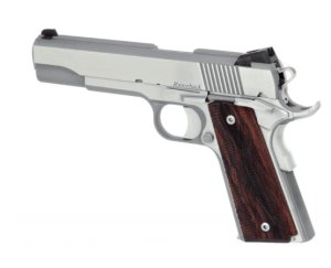 Dan Wesson Razorback 10mm 5in Barrel Brushed Stainless 8rd Semi-Auto