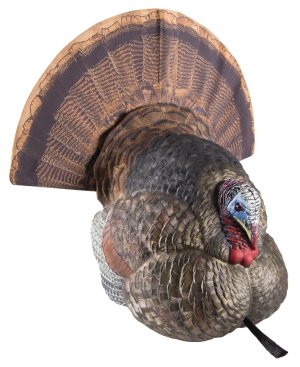 GSM Outdoors LCD Strutter Turkey Decoy Lifelike Collapsible Posture