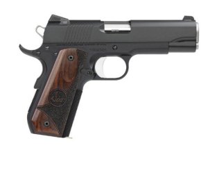 Dan Wesson Guardian 9mm 01828