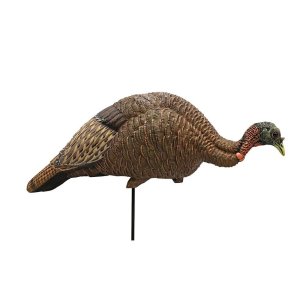 MOJO HW2539 Feeder Breeder Hen Turkey Decoy, Multi-Position, Durable EV/PE