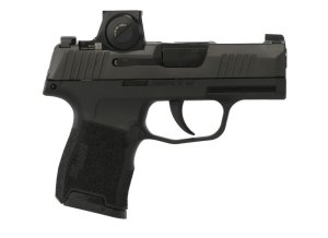 Sig Sauer P365 9mm 3.1 In Nitron 11 Round W365-9-BXR3P-RXE