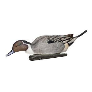 AvianX AVX8082 Top Flight Pintail Duck Decoys 6-Pack, Realistic Design