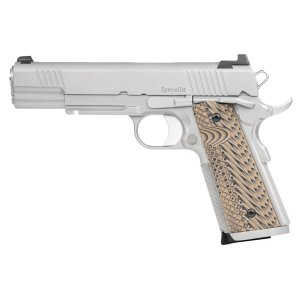 Dan Wesson Specialist 10mm