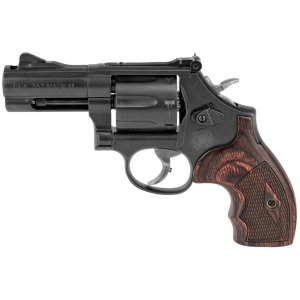 Smith & Wesson Model 586 357 Magnum 170170