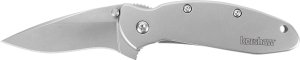 Kershaw 1620FL Scallion 2.4" Drop Point Stainless Pocketknife