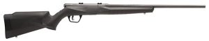 Savage Arms B17 F 17 HMR