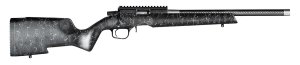 Christensen Arms Ranger 22 LR 8011200200
