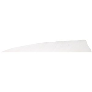 Gateway 500RSSFW-100 Shield Cut Feathers White 5 In RW 100 Pack