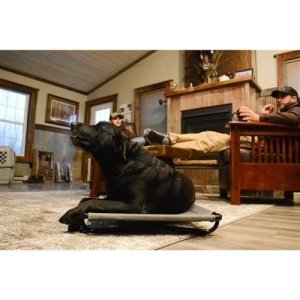 Higdon Outdoors 34065 MOmarsh Kennel Cot Large 33"x22" Duramesh Fabric
