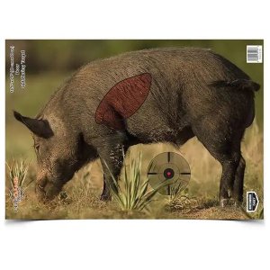 Birchwood Casey Dirty Bird PreGame Boar Target 16.5x24 3 Pack 35408