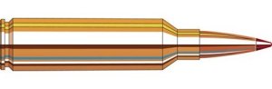 Hornady Precision Hunter 7mm WSM 162 Grain ELD-X 20 Rounds 80552
