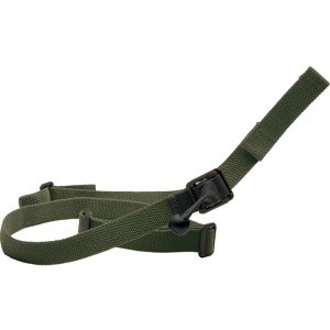 Blue Force Gear GMT-100-OA-RG Sling 1" Width Ranger Green