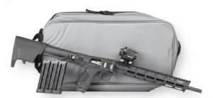 Smith & Wesson M&P FPC 22 LR 4x20rd 16.25 Barrel Folding Rifle Bundle CTS-103 Red/Green Dot Bag Black