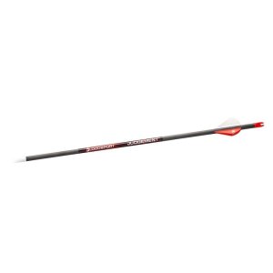 BloodSport Judgement Arrows 300 6 pk.