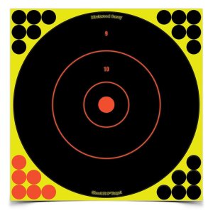 Birchwood Casey BC-34070 Shoot-N-C Bull's Eye Targets 12" 100 Pack