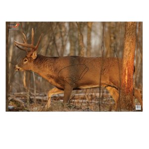 Birchwood Casey EZE-Scorer Whitetail Deer Target 23 in x 35 in 2 Pack