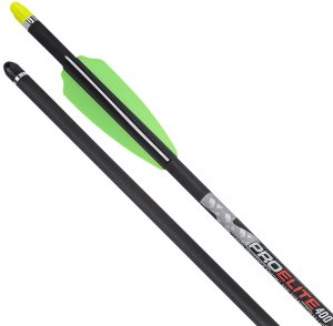 TenPoint HEA6606 Pro Elite 400 Carbon Arrows 20" Alpha Nocks 6 Pack