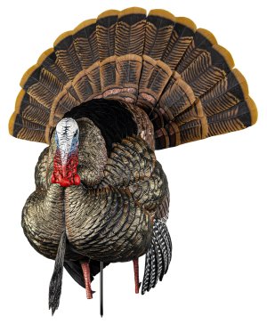 Avian-X HDR Strutter Turkey Species Multi Color AVXAVX8108