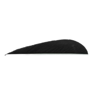 Trueflight 1208 Parabolic Feathers Black 3" LW 100 Pack