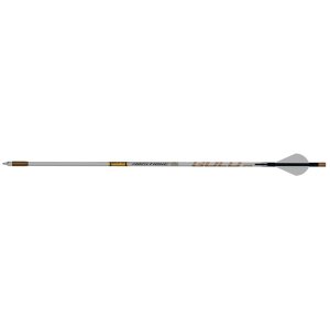 Gold Tip AirStrike .204in Diameter 250 Raptor Vanes 6pk