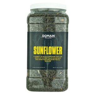DOMAIN OUTDOORS Sunflower 3 lb