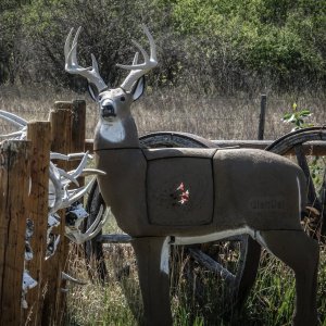 GlenDel G73000 Pre-Rut Buck Target, Polyfusion Tech, 36" Shoulder Height