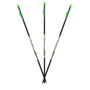 Carbon Express D-Stroyer Piledriver Arrows 400 6 pk.