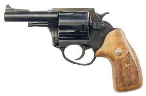 Charter Arms Bulldog 44 Special 34431
