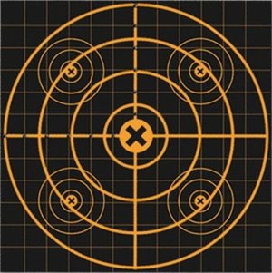 Birchwood Casey Big Burst Targets 12" Sight-In