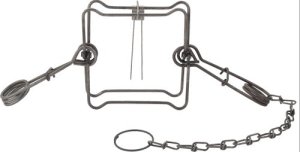 Duke Traps #160 Body Trap Case OF 12