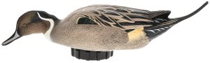 Avian-X Power Shaker Pintail Duck Decoy Multi-Color Life-Size