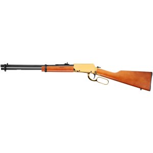 Rossi Rio Bravo 22 LR RL22181WDGLD1
