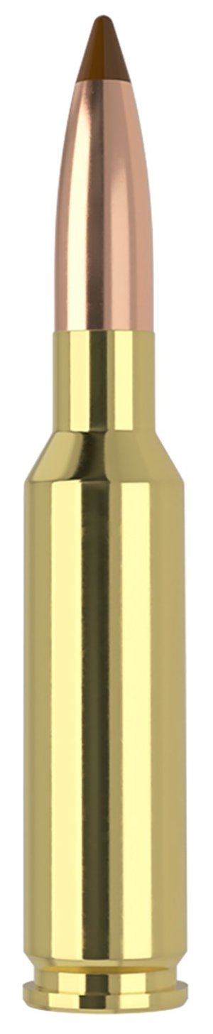 Nosler 61053 6.5x55 Swedish 140gr Ballistic Tip Ammo 20 Rounds