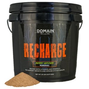 DOMAIN RCMIN10 RECHARGE DEER MINERAL (10LB)
