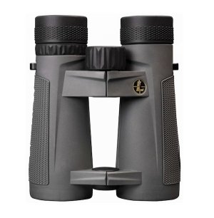 Leupold BX-5 Santiam HD 10x42mm Binocular Shadow Gray 174483