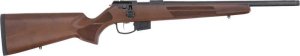 Anschutz 1761 HB .17HMR 015620