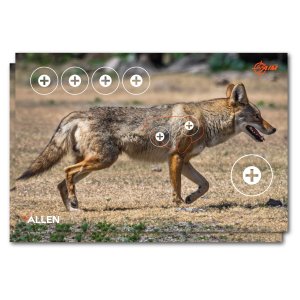 Allen EZ Aim Paper Four Color Coyote Target 23x35 2 Pack