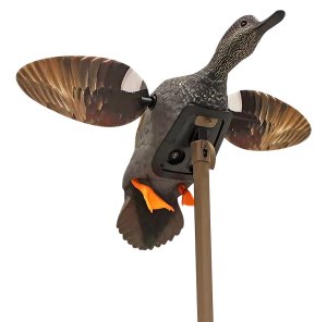Mojo Outdoors Elite Series Gadwall Multi-Color Decoy HW24733P