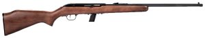 Savage Arms 64 G 22 LR 30000