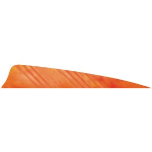 Gateway 400LSTWO-50 Shield Cut Feathers 4 In White/Orange 50 Pack