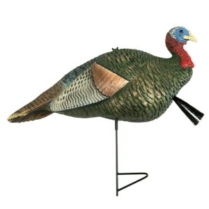 The Grind TG8628 1/2 Strut Jake Turkey Decoy with Motion Stake