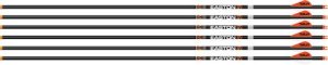 Easton Arrow 6.5Mm Hunter Clsc 300 W/2" Bully Vanes 6-Pack 329002