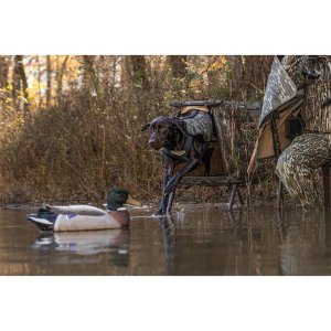 Higdon Outdoors 34014 Invisilab Dog Blind Mossy Oak Shadow Grass 33 In