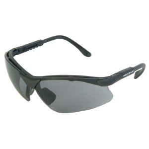 Radians RV0120CS Revelation Glasses Smoke Gray Lens Anti-Fog Black Frame